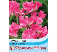 Thompson & Morgan Sweet Pea Robert Uvedale 1 Seed Packet (20 Seeds)