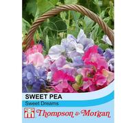 Thompson & Morgan Sweet Pea Sweet Dreams 1 Seed Packet (60 Seeds)