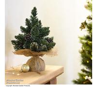 Thompson & Morgan Tabletop Christmas Tree 'derby'- 2 Pack