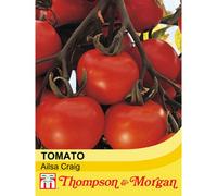 Thompson & Morgan Tomato Ailsa Craig 1 Seed Packet (94 Seeds)