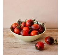 Thompson & Morgan Thompson & Morgan Tomato Black Moon F1 1 Packet
