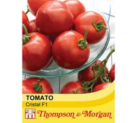 Thompson & Morgan Tomato Cristal F1 Hybrid 1 Seed Packet (4 Seeds)