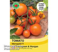 Thompson & Morgan Tomato Merrygold F1 1 Seed Packet (8 Seeds)