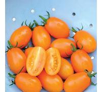 Thompson & Morgan Tomato Orange Beauty F1 1 Seed Packet