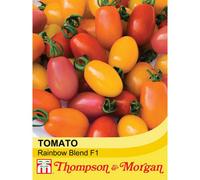 Thompson & Morgan Tomato Rainbow Blend F1 Hybrid 1 Seed Packet (5 Seeds)