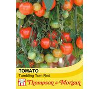 Thompson & Morgan Tomato Tumbling Tom Red 1 Seed Packet (15 Seeds)