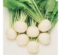 Thompson & Morgan Turnip Oasis F1 Hybrid 1 Seed Packet