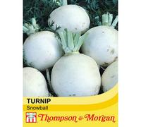 Thompson & Morgan Turnip Snowball 1 Seed Packet (1000 Seeds)