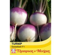 Thompson & Morgan Turnip Sweetbell (Sc9-303) F1 Hybrid 1 Seed Packet (100 Seeds)