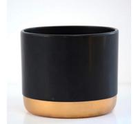 Thompson & Morgan Two-Tone Ceramic Black-Gold 6Cm Small
