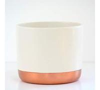 Thompson & Morgan Two-Tone White & Rose Gold Medium Ceramic Plant Flower Pot Round Modern Design for Indoor House Plants Succulents 1 x Medium White & Rose Gold Ceramic Pot