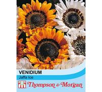Thompson & Morgan Venidium Fastuosum Jaffa Ice 1 Seed Packet (180 Seeds)