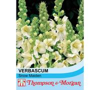 Thompson & Morgan Verbascum x Hybrida Snow Maiden 1 Seed Packet (100 Seeds), White