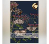 Thompson & Morgan Verbena Promo New Kew Range 1 Packet (200 Seeds)
