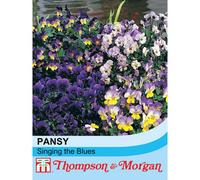 Thompson & Morgan Viola Singing The Blues 1 Seed Packet (25 Seeds)