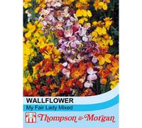 Thompson & Morgan Wallflower My Fair Lady Mixed 1 Packet (400 Seeds)