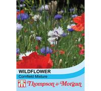Thompson & Morgan Wildflower Cornfield Mixture 1 Seed Packet (1 Gram)