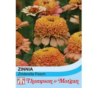 Thompson & Morgan Zinnia Elegans Zinderella Peach 1 Packet (20 Seeds)