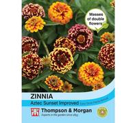 Thompson & Morgan Zinnia Haageana Aztec Sunset 1 Packet (20 Seeds)