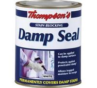 Thompson's Stain Blocking Damp Seal 250ml