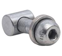 Thomson Screw for clamp - Silver