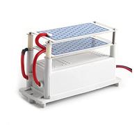 Thonlai 12V Car Generator, 10g/h Portable Ozonizer Air Sterilizer with Ceramic Plate for Odor Removal, Air Freshener, Smoke and Elimination