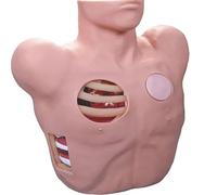 Thoracentesis and Drainage Model, PVC Anatomical Model, Pneumothorax and Liquid Chestclosed Drainage Training Medical Training Teaching Model.for Training Multifunction Nursing Training