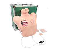 Thoracentesis And Drainage Training Manikin After Thoracic Trauma Closed Chest Drainage Simulated Human Dummy Model For Skill Training And Educational Demonstration