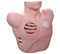 Thoracentesis Drainage Model for Patient Care Training, Adjustable Fluid Color and Viscosity, Medical Simulation Tool with 2 Open Windows, Ideal for Teaching