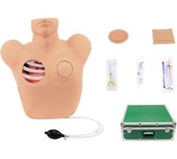 Thoracentesis Drainage Model Medical Science Anatomical Model Manikin Training Model Thoracic Cavity Drainage Drilling Model for Hospitals, Schools, Research Centre