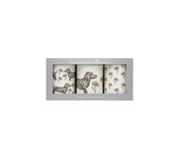 Thornback & Peel Dog & Daisy Set 3 Caddies