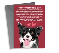 thortful Cute Valentine's Day - From the Dog - Border Collie