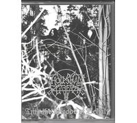 Into The Woods Of Belial [CASSETTE]