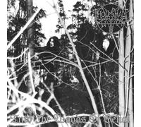 Into The Woods Of Belial [VINYL]