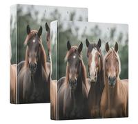 Thought Horse 3-Ring Binder 1.5 Inch, PVC Material Document Organizer with D-Ring and Clear View Pocket for Office Supplies-2 Pack