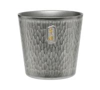 Thous Winds Double Wall Titanium Mug, Thickened 300ml Camping Cup, Anti-scald Camping Coffee Water Mug for Outdoor Hiking Backpacking,10 oz, Bark Grain