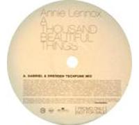 Thousand Beautiful Things-12"