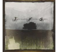 Thousand Falling Skies - Wilting [Us Import]