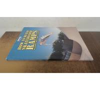 Thrasher Presents How to Build Skateboard Ramps