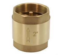 Threaded Brass Check Valve Non Return Valve High Valve with Stainless Steel Spring for Liquid Gas Oil Control and Environmental Use (2“)