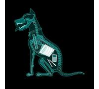 Threadless - Homework Evidence Unisex T-Shirt - Black - 5XL