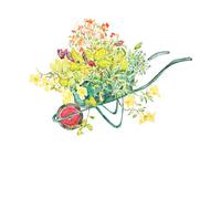 Threadless x IWOOT Flowers In A Green Handcart Watercolor Unisex T-Shirt - White - S