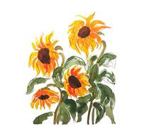 Threadless x IWOOT Sunflower Watercolor Men's T-Shirt - White - XXL