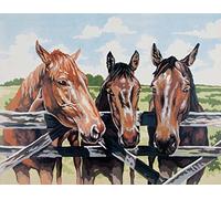 Three Amigos - Printed Canvas for Tapestry or Needlepoint