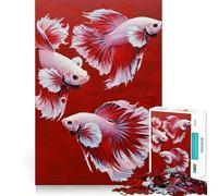 Three Betta Fish on Red Background Jigsaw Puzzles for Teenagers 1000 Piece Enhance Recall Home Leisure Exact Edge (50x75cm)