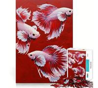 Three Betta Fish on Red Background Teenagers 1000 Piece Jigsaw Puzzle Memory Gain Light Relax Design Assembly Wall Art Decor (38x52cm)