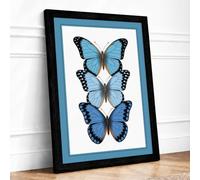 Three Blue Butterflies Botanical Framed Wall Art Print A4 (29.7×21cm) Black, Wall Decor for Living Room, Bedroom, Office & Home, Ready to Hang, Art Gift