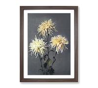 Three Chrysanthemums By Ogawa Kazumasa Asian Japanese Framed Wall Art Print, Ready to Hang Picture for Living Room Bedroom Home Office Décor, Walnut A4 (34 x 25 cm)