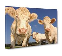 Three Cream Dairy Cows Modern Canvas Wall Art Print Ready to Hang, Framed Picture for Living Room Bedroom Home Office Décor, 30x20 Inch (76x50 cm)