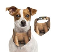 Three Cute Little Dogs Dog Bandana for Small Medium Large Dogs, Cat Dogs Kerchief Triangle Bibs Scarf for Girl Or Boy